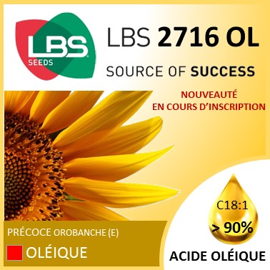 http://lbs-seeds.com/wp-content/uploads/2016/01/LBS-2716-OL.jpg