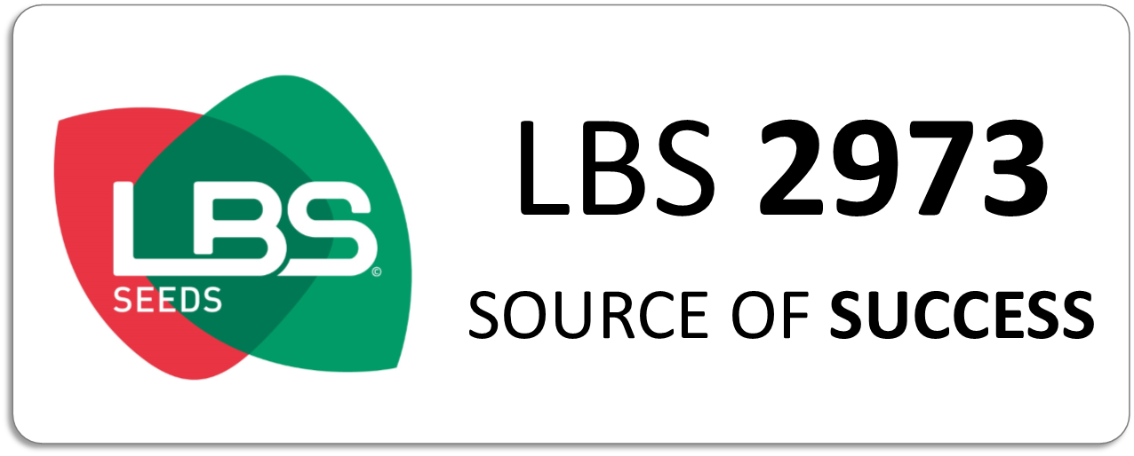 LBS 2973