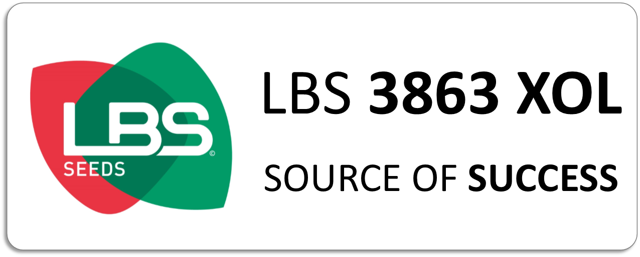 LBS 3863 XOL