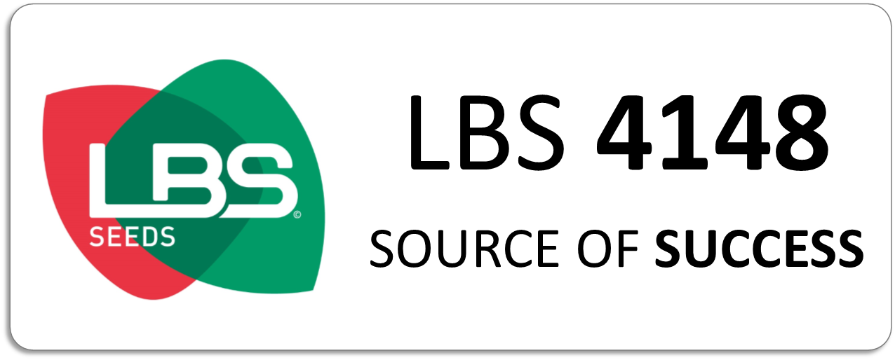 Maïs LBS 4148
