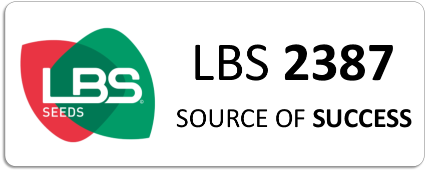 LBS 2387