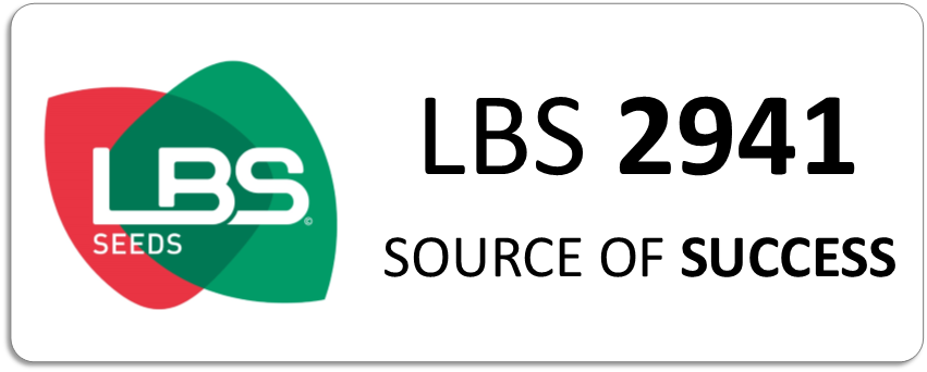 LBS 2941