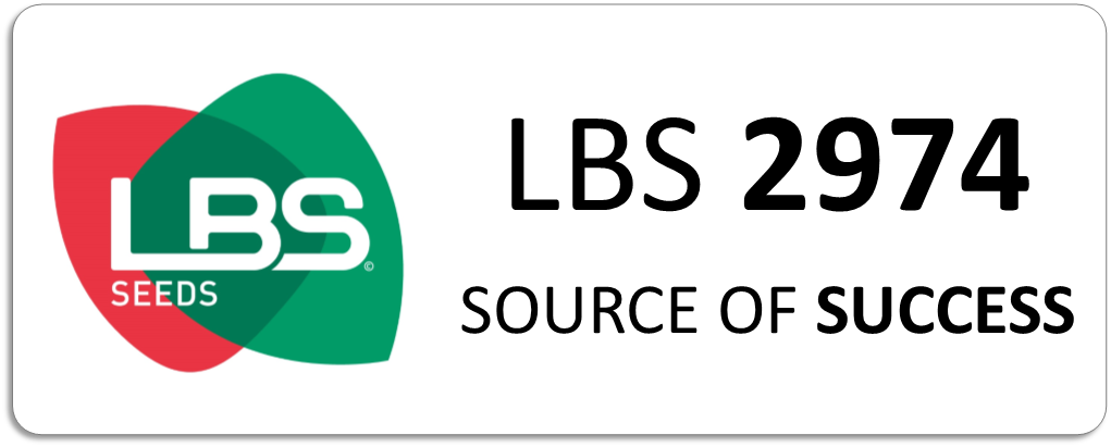 LBS 2974