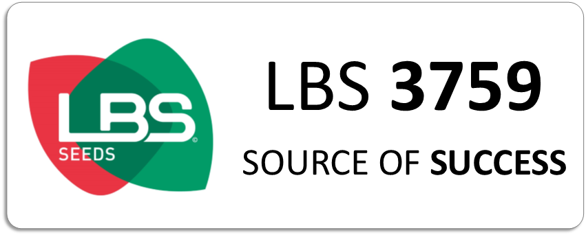 LBS 3759