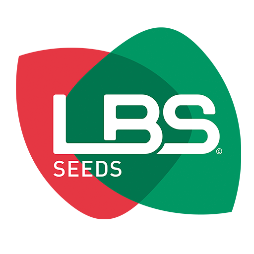 LBS Seeds