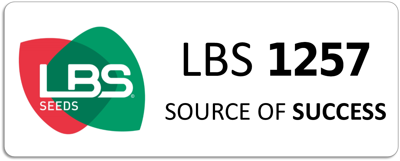 LBS 1257