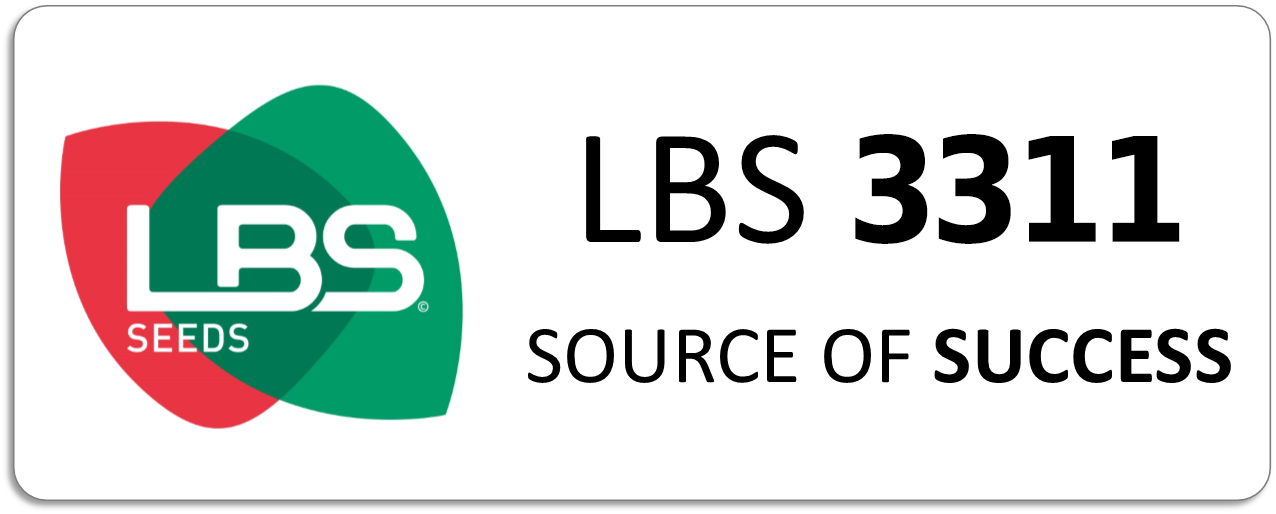LBS 3311