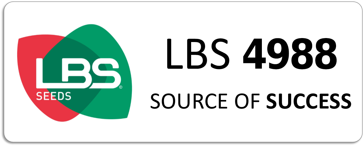 LBS 4988