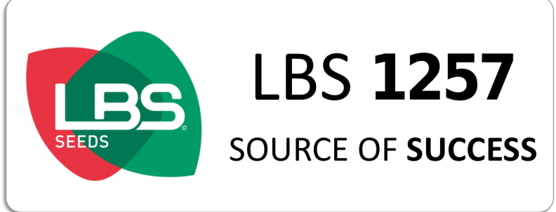 LBS 1257