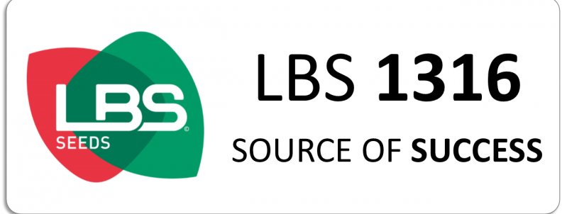 LBS 1316