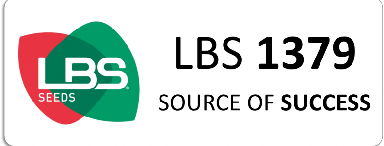 LBS 1379