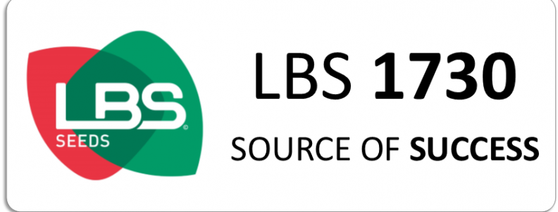 LBS 1730