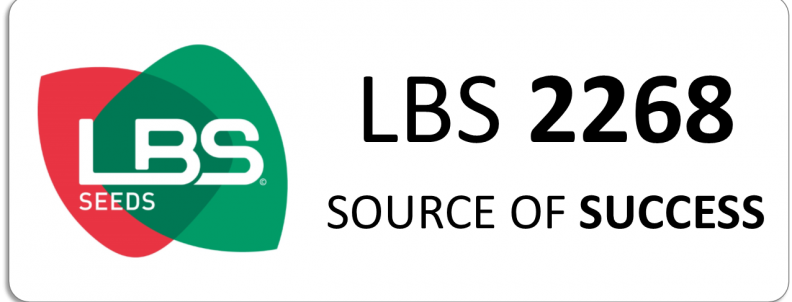 LBS 2268