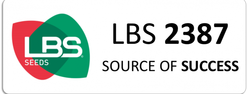 LBS 2387