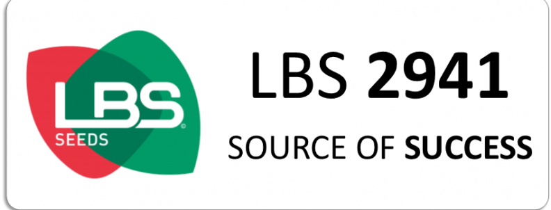 LBS 2941