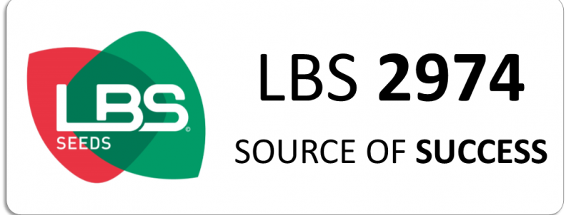 LBS 2974