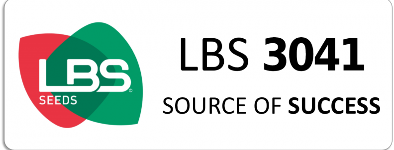 LBS 3041