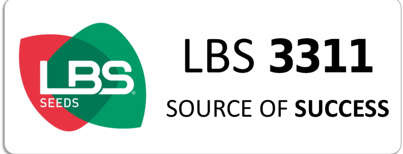 LBS 3311