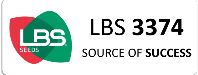 LBS 3374