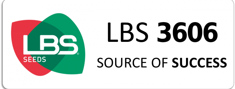 LBS 3606