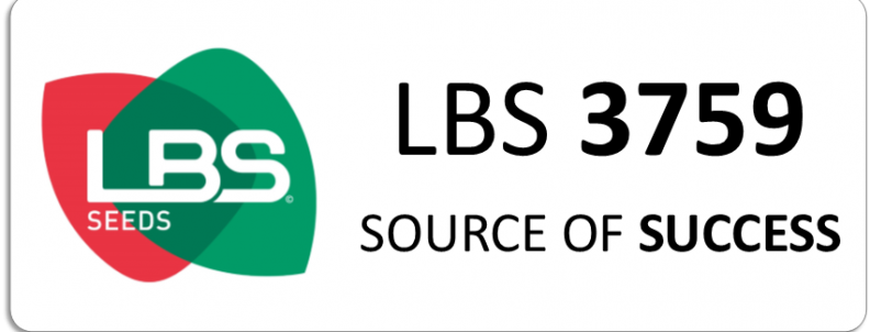LBS 3759