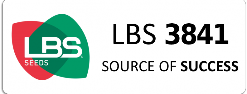 LBS 3841