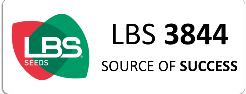 LBS 3844