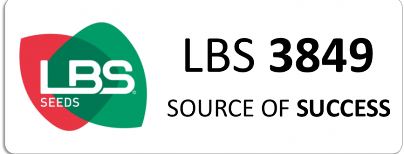 LBS 3849