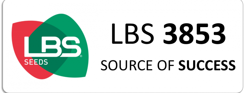 LBS 3853