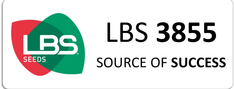 LBS 3855