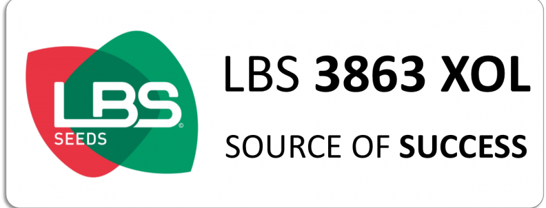 LBS 3863 XOL