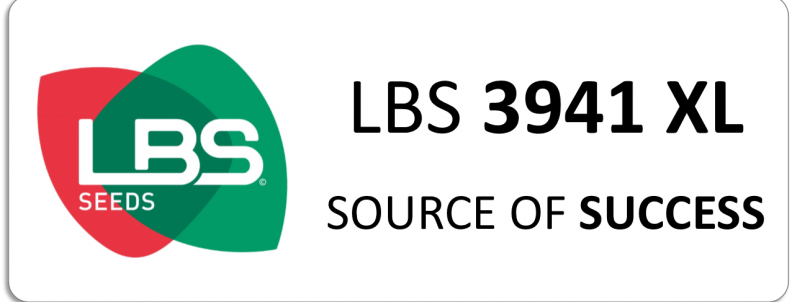 LBS 3941 XL
