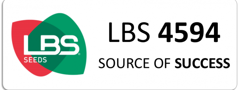 LBS 4594