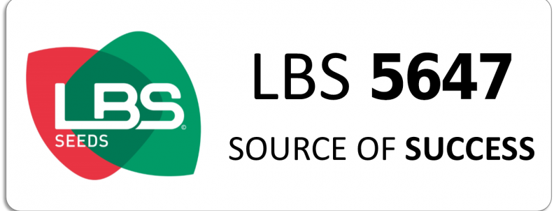 LBS 5647